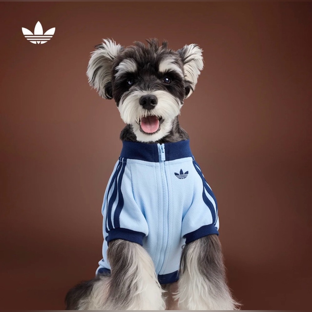 Adidas Originals Pet Tracksuit Zip-Up Jacket Dogs Cats Collection HZ6662 size M